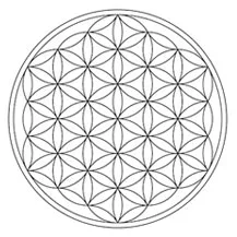 De Flower of life symboliseert eenheid en verbondenheid