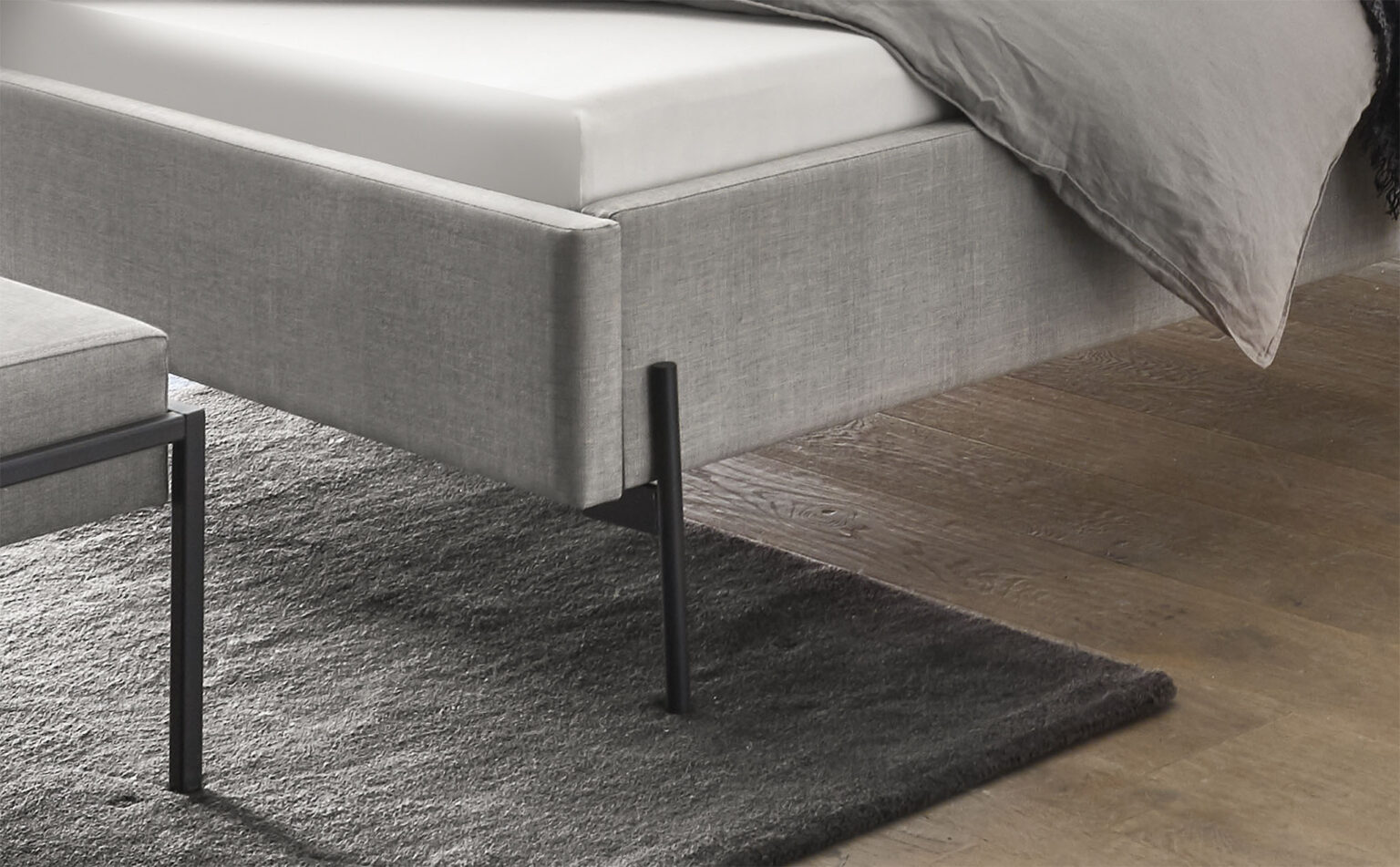 hasena-dream-pronto-gloria-02 hasena-dream-pronto-gloria-02