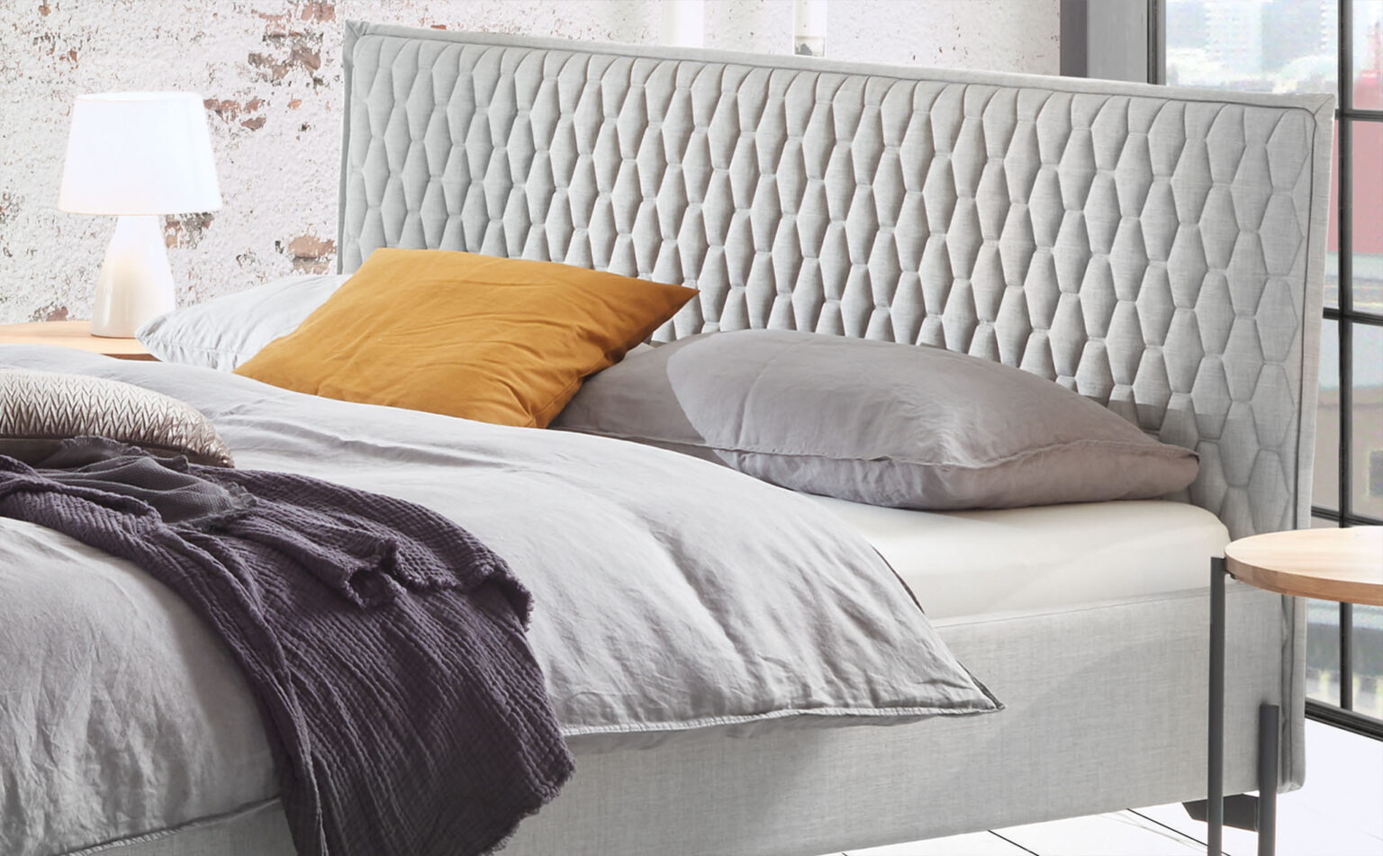 hasena-dream-pronto-gloria-03 hasena-dream-pronto-gloria-03