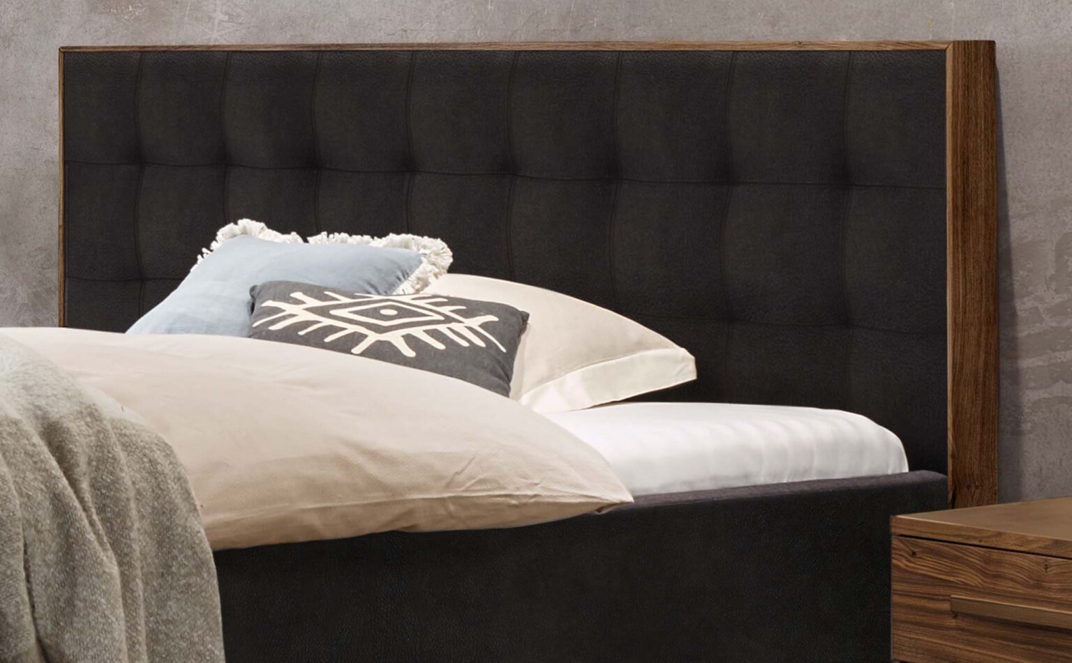 hasena-dream-pronto-noah-05 hasena-dream-pronto-noah-05